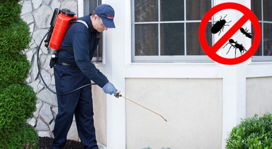 Tekirdağ Fare İlaçlama böcek ilaçlama ve haşere kontrolü — ilaclama-tr.com